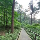 청태산휴양림 이미지