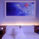 프라잇베리 네이버블로그
