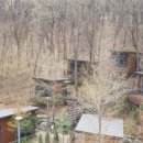 바람꽃뜰 이미지