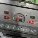 고르씨에 | 📍 2월 첫째 주 일상