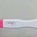 쏘야네 | [인공수정 3차 후기] 단호박 한 줄, 무너진 마음을 추스르고 4차를 준비하며..