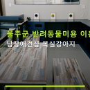 남창애견샵 복실강아지 | 울주군 반려동물미용 이용 가이드