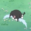 광우