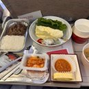 551 | [인천발 이스탄불행] 아시아나 OZ551편 탑승후기