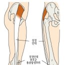 굿닥터정형외과의원 이미지