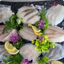 신선타운 이미지