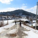 아미산숲센터 이미지