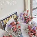 플라워샵온스