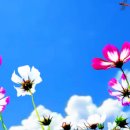 하늘마취통증의학과의원 이미지