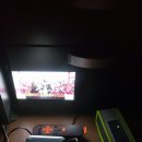 복도깨비PC | 미니빔 사용기(Everycom S6)