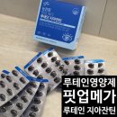 핏업 | 루테인영양제 추천 직장인 눈 건강을 위한 핏업메가 루테인 지아잔틴 후기