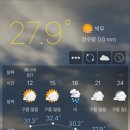 카피아 이미지