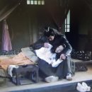 초선과여포 이미지