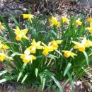 낙산계곡펜션 이미지