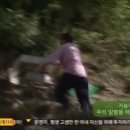 토마토여행사주 - 서구 하남대로 676 | 토마토여행사주