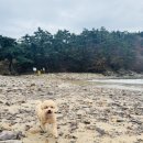 구름포해변캠핑장 이미지