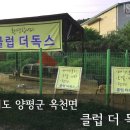 클럽더독스 이미지