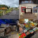 테마공원 선녀와 나무꾼 | 제주도 가볼만한곳 선녀와나무꾼 동쪽 여행 실내 놀거리 추천