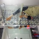 금강그린텍 이미지