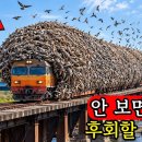 한순간 발을 헛디디면 죽는다 | 세계에서 가장 위험한 철도 | 4K 다큐멘터리 이미지