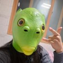 정미켄넬 네이버블로그