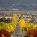 통일전 주차장 화장실 이미지