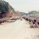 유성여자고등학교 이미지