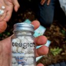 임진낚시캠핑 | Go? Go! 닭섬 (1박+1 후기 / Part2)