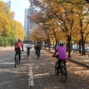 강남송파 자전거 연합 2022년 11월2일(수) 수요 정기 프리 라이딩 이미지