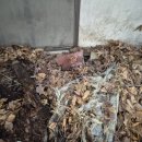 늘푸른환경 이미지