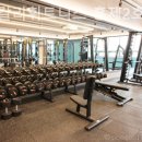 스타칼리 이미지