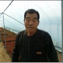 마블농장 이미지