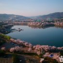 경주 감포트라제2 이미지