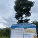 [인제]인제 여행의 꽃 신나는 내린천 래프팅 후기
