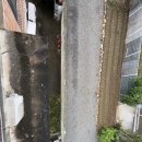 홍정경로당 이미지