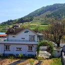 선학농장 이미지