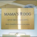 동반자케어 | 대구강아지분양 가정 케어로 만난 동반자