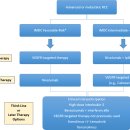 Re: 신장암 옵디보-여보이(Ipilimumab in combination with nivolumab) 2018리뷰논문 이미지