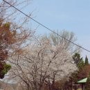 동산유치원 | 포천 아이와 가볼만한곳 서운동산 피크닉 서울근교 가족나들이