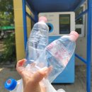 에덴테마어린이공원 화장실 앞 이미지