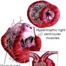 신세계동물의료센터 이미지