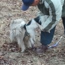 기범농장 이미지