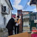 평화로10 시민일보