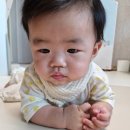 1258 | [현실육아] 생후 1258일, 174일 세살 터울 건강형제 일상 포토덤프