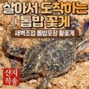 24년 가을 숫꽃게 암꽃게 활 생물 톱밥 꽃게, 1박스, 2kg 이미지