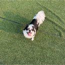 중랑구아이돌봄지원센터 이미지