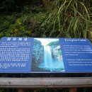 좋은날목장 이미지