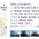 디아뜨1 B 이미지