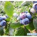 산여울농장 이미지