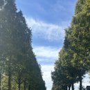 사파동248 | 창원_오티씨커피